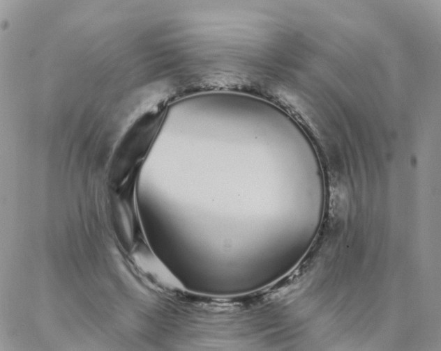 X0000088020443200705182004