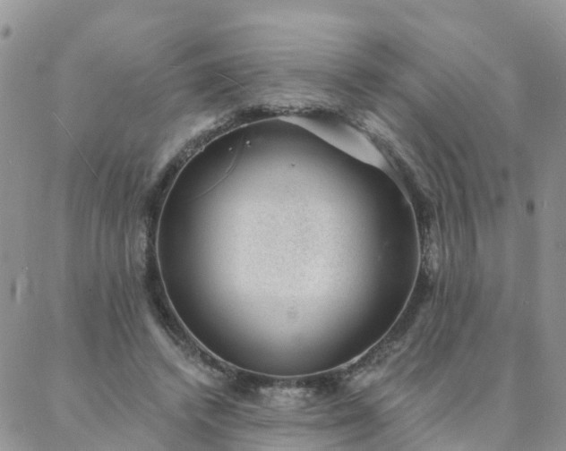 X0000088020448200705182004
