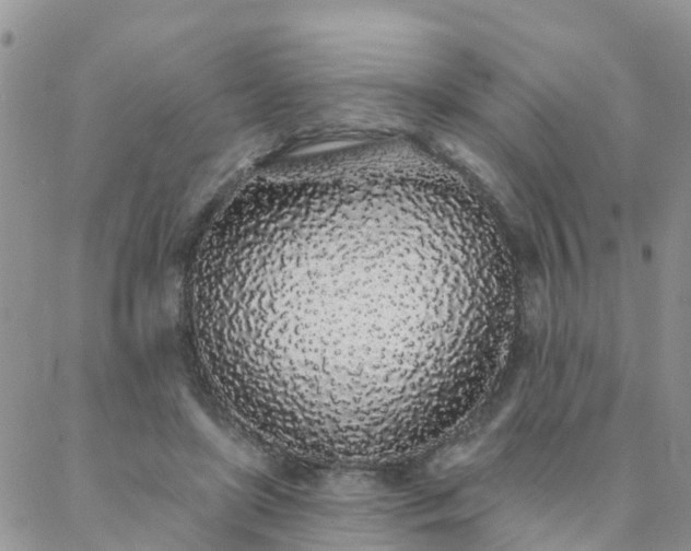 X0000088020451200705182004
