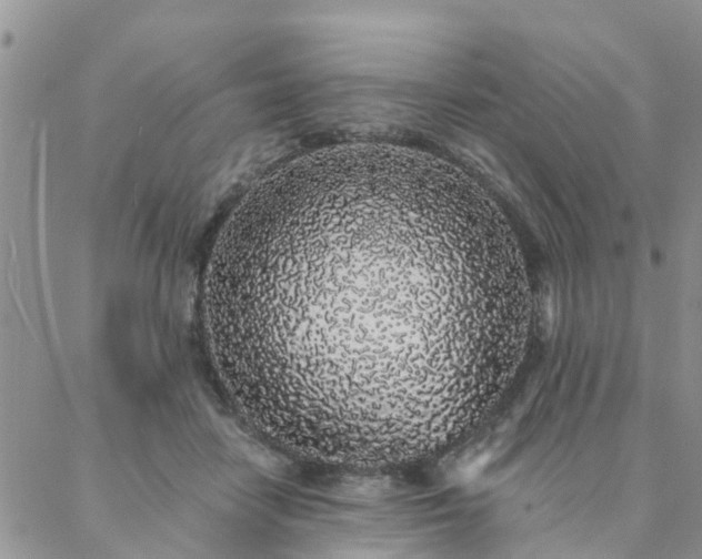 X0000088020458200705182005