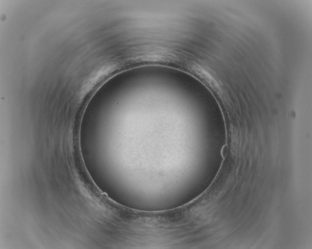 X0000088020482200705182004