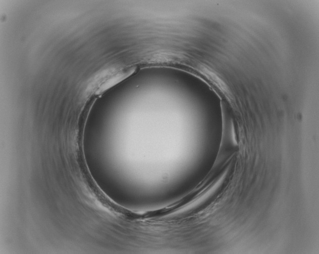 X0000088020485200705182004
