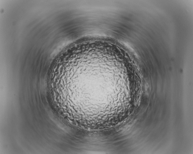 X0000088020487200705182004