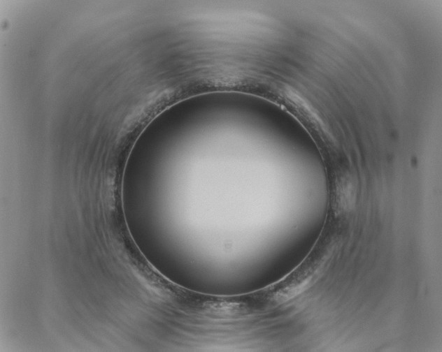 X0000088020497200705182004