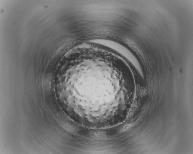 X0000088020501200705182004