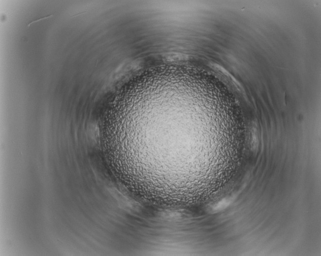 X0000088020523200705182003