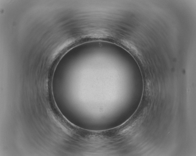 X0000088020535200705182003