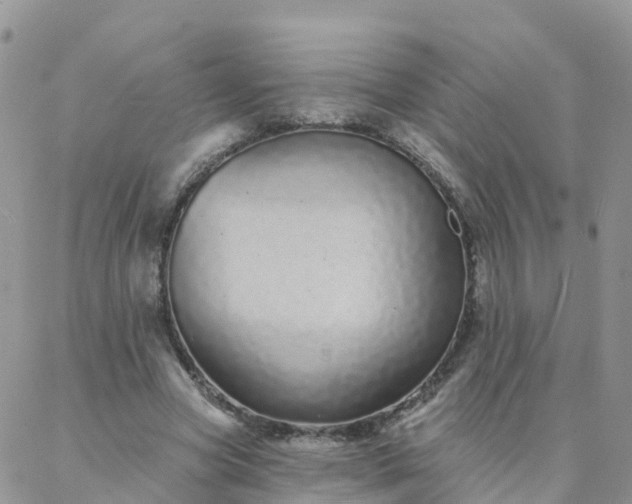 X0000088020537200705182003
