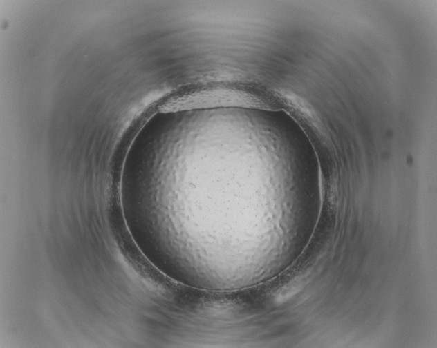 X0000088020540200705182003