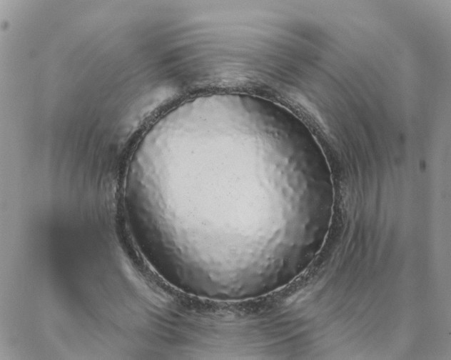 X0000088020542200705182003