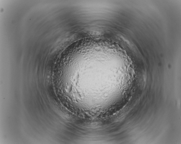 X0000088020553200705182003