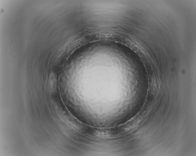 X0000088020557200705182003