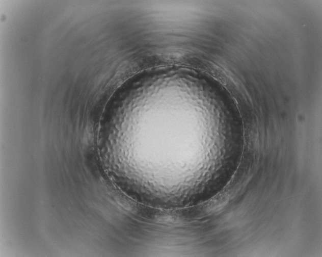 X0000088020561200705182003