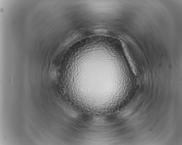X0000088020573200705182003
