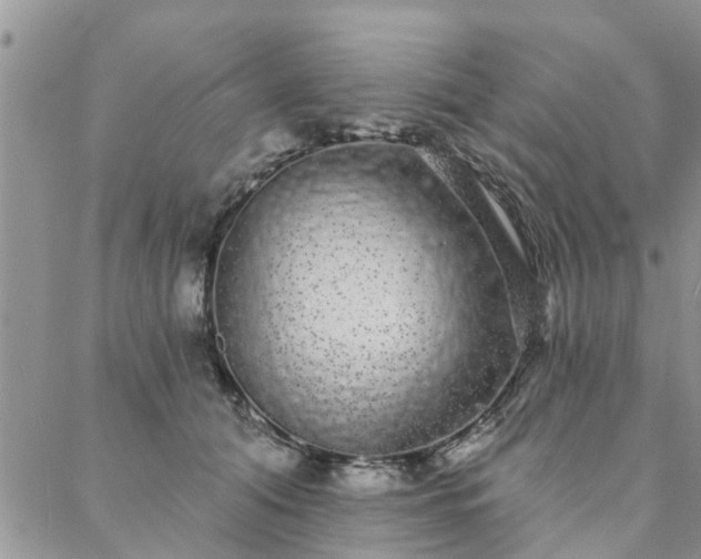 X0000088020608200705182002