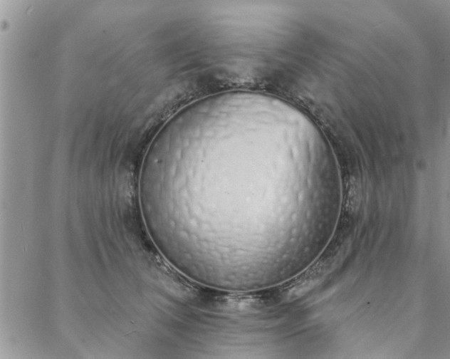 X0000088020612200705182002