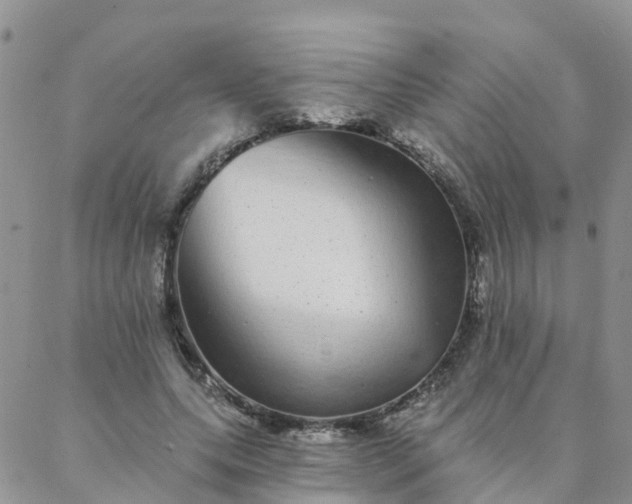 X0000088020639200705182001