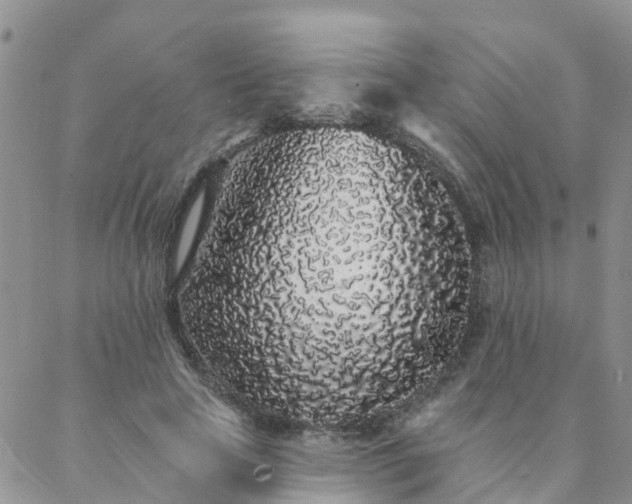 X0000088020641200705182001