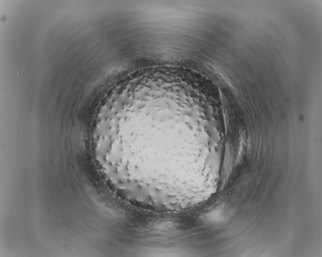 X0000088020643200705182001