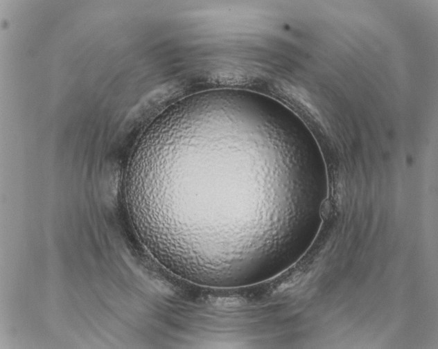 X0000088020645200705182001
