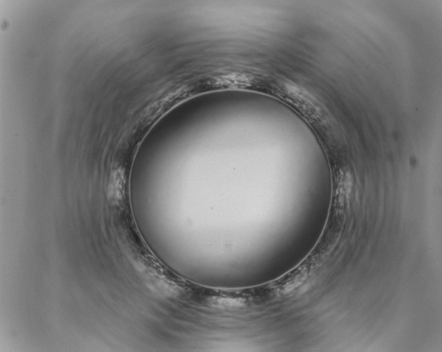 X0000088020649200705182001