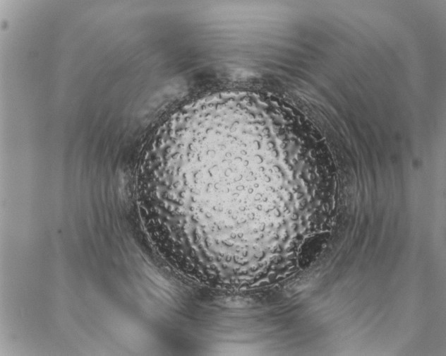 X0000088020654200705182001