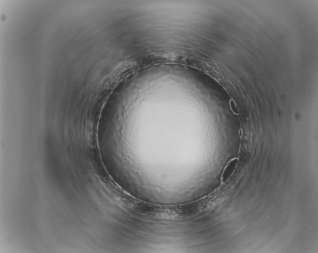 X0000088020656200705182001