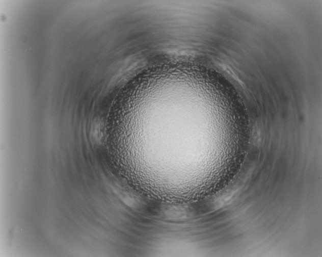 X0000088020671200705182002