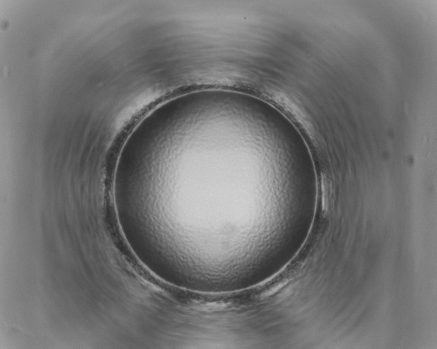 X0000088020675200705182001