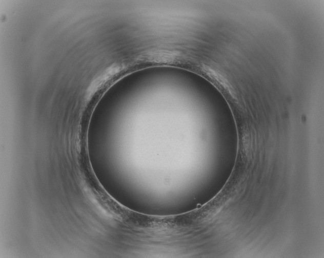 X0000088020682200705182001
