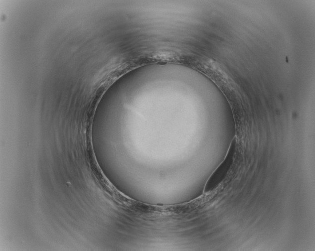 X0000088020696200705182001