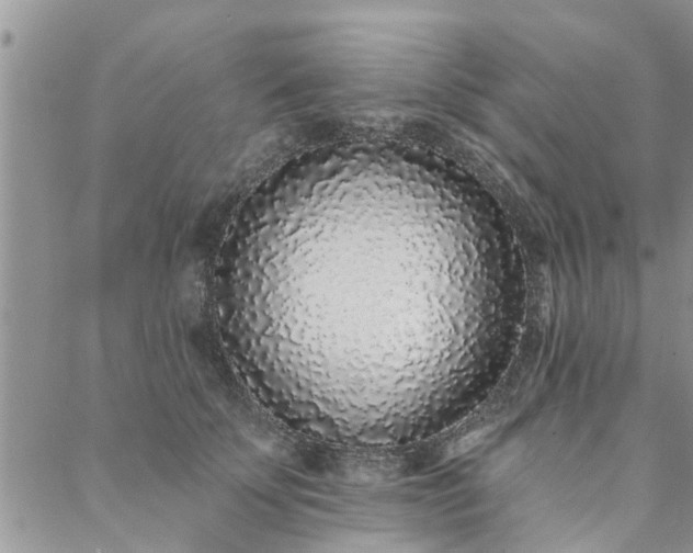 X0000088020707200705182000