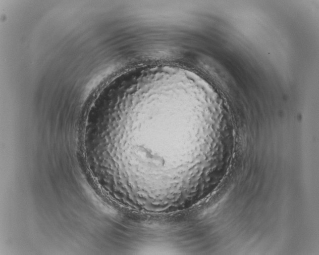 X0000088020725200705181959