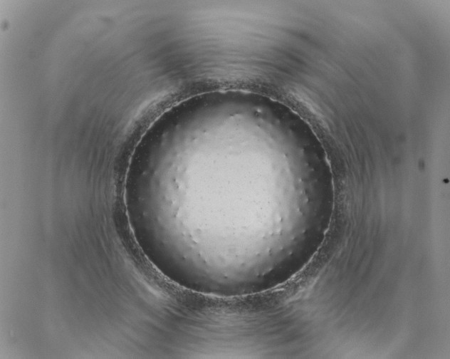 X0000088020733200705182000
