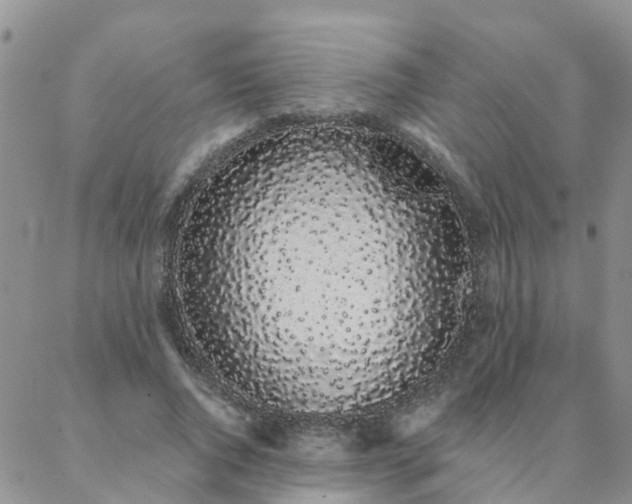 X0000088020736200705182000