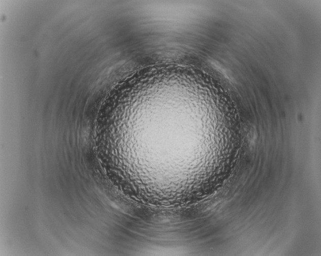 X0000088020745200705182000