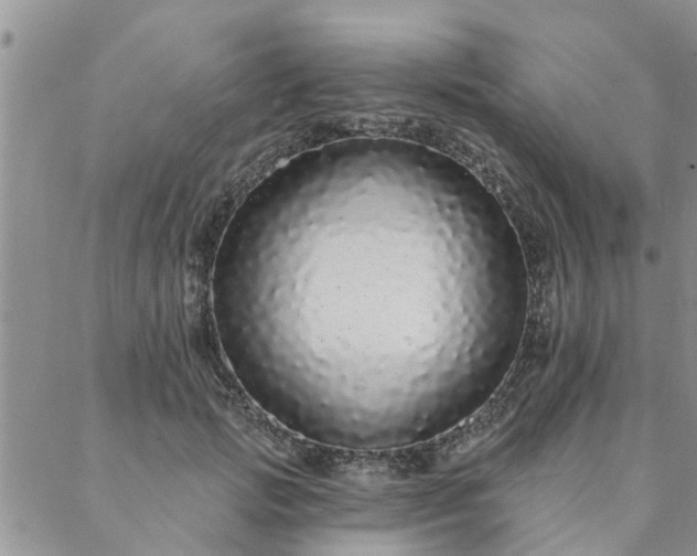 X0000088020749200705182000