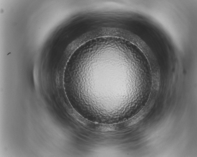 X0000088020765200705182000