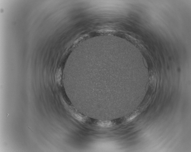X0000088020767200705182000
