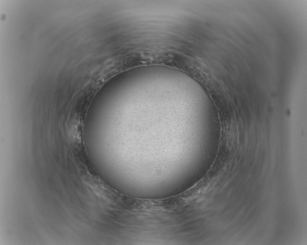X0000088020770200705181959