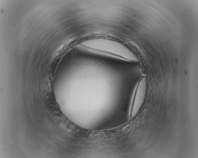 X0000088020776200705181959