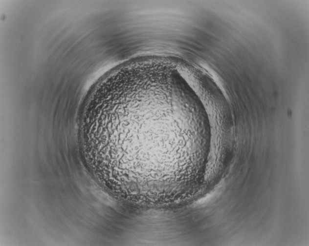 X0000088020779200705181959