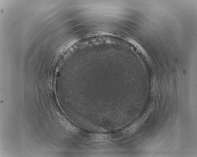 X0000088020785200705181959