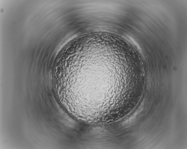 X0000088020798200705181959
