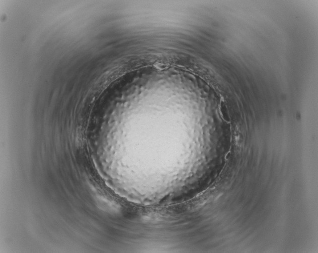 X0000088020819200705181958