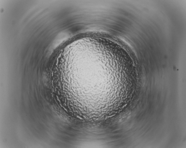 X0000088020823200705181958