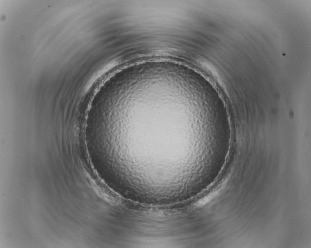 X0000088020827200705181958