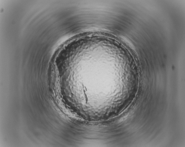 X0000088020831200705181958
