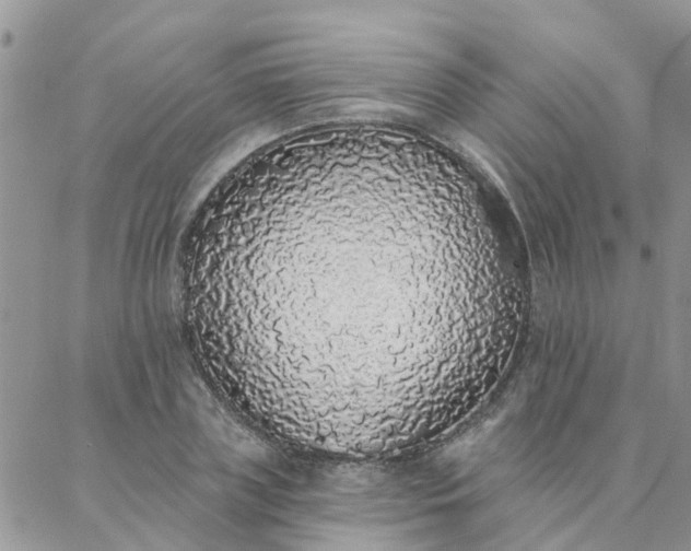 X0000088020835200705181958
