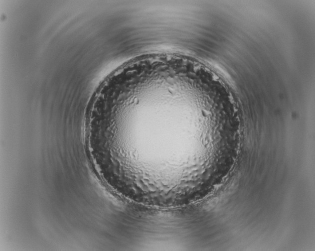X0000088020839200705181958